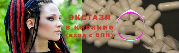 индика Няндома