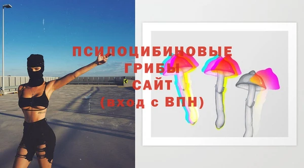 мет Гусев