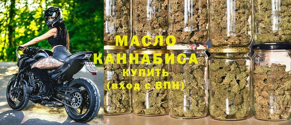 индика Горно-Алтайск