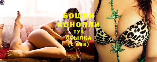 мет Гусев