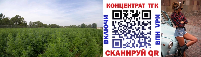 гидра маркетплейс  Окуловка  Дистиллят ТГК жижа  купить  